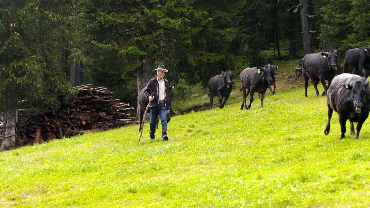 Auf der Saualm