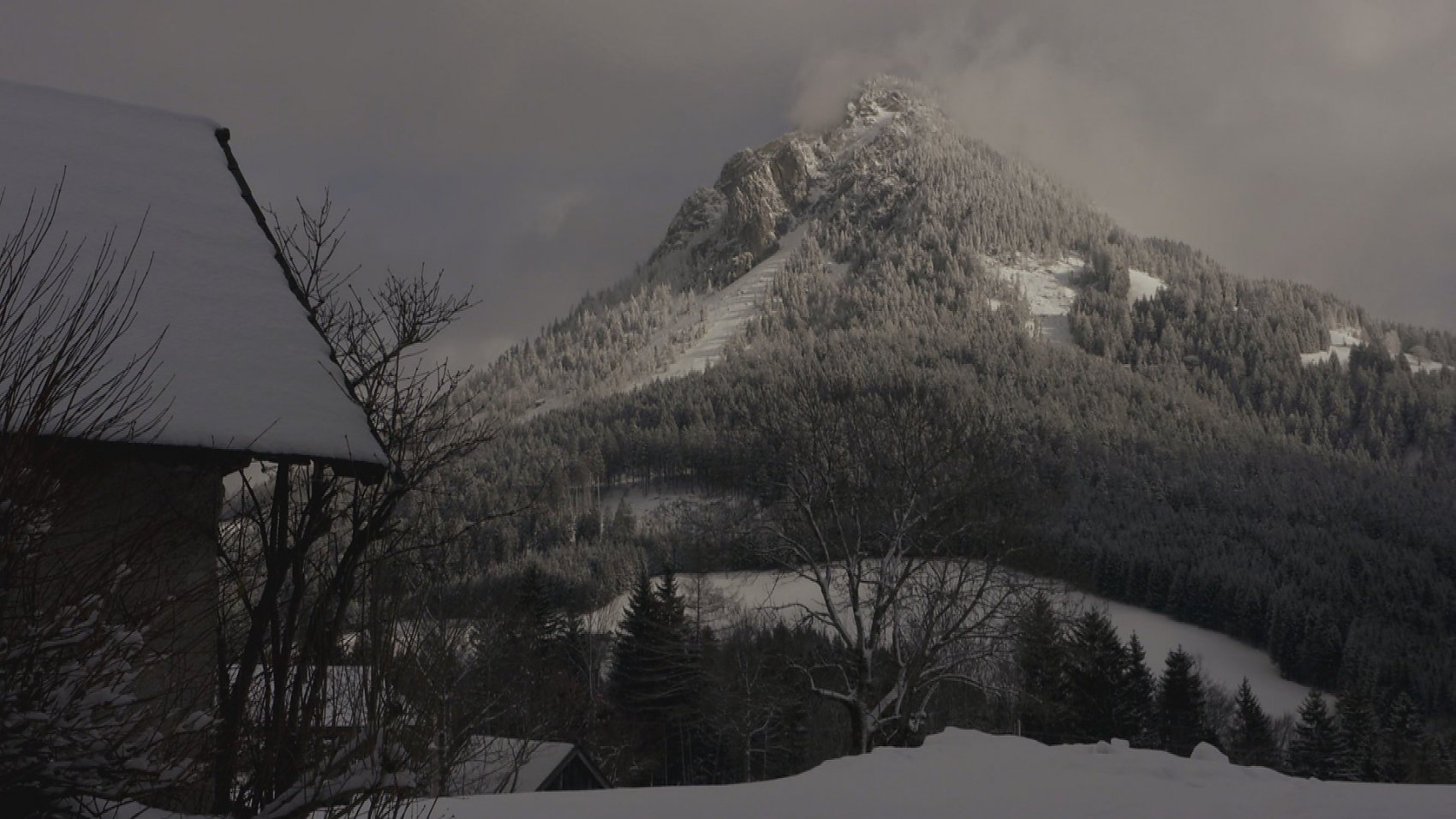 Leben auf der Tauplitz-Alm